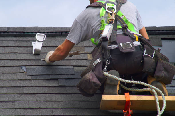 Best Storm Damage Roof Repair  in Brent, FL