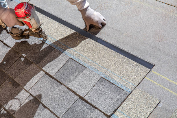 Best Storm Damage Roof Repair  in Brent, FL